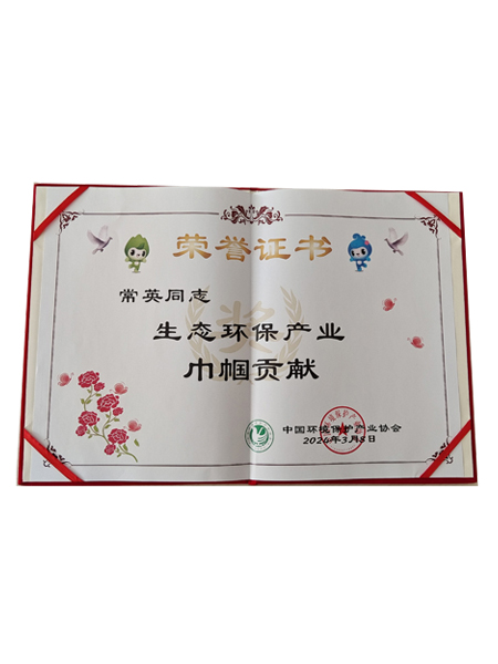 中國環(huán)境保護產(chǎn)業(yè)協(xié)會巾幗貢獻獎