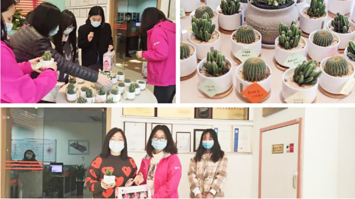 三八妇女节，向闪闪发光的环保女神们致敬