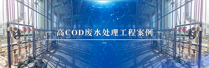 高cod废水处理工程案例